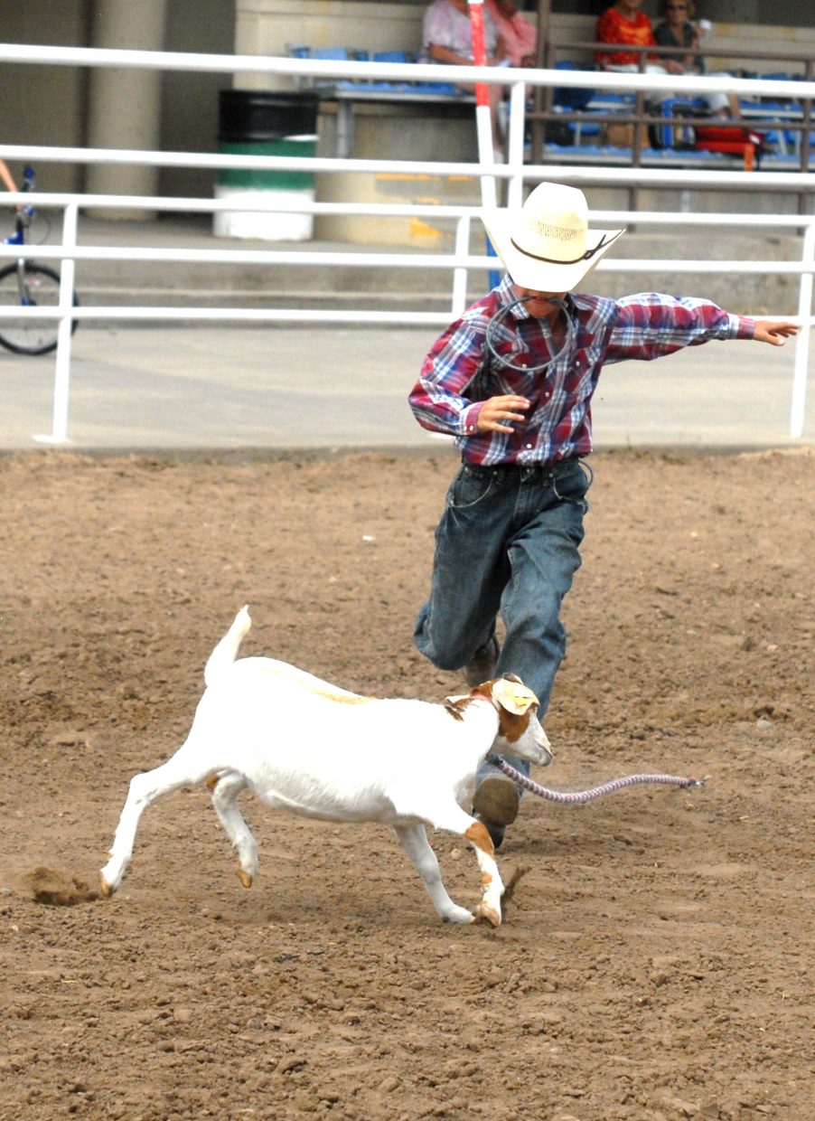Little Britches Rodeo 2010 | CraigDailyPress.com