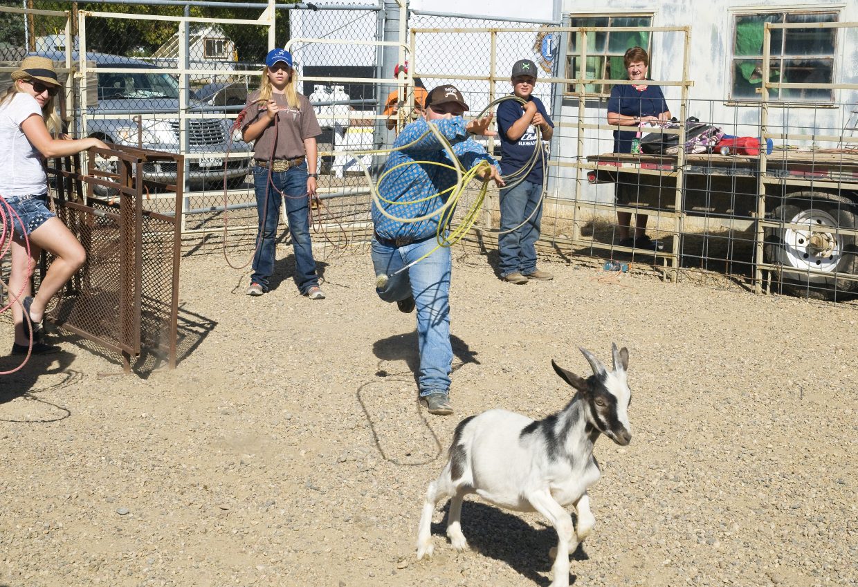 Local Goat Roping Events Moffat County Fair — Part 1 | CraigDailyPress.com