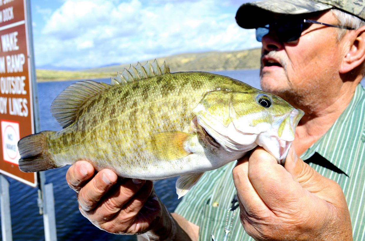 Norm Fedde holds up a small-mouth bass that he caught Thursday at Elkhead Reservoir. He and his buddy Burt Clements fish daily as a part of their retirement plan. Both men oppose Colorado Parks and Wildlife's proposal to drain and poison fish in the reservoir. They'd rather a screen be placed over the dam's spillway to keep non-native fish out of the Yampa River.
