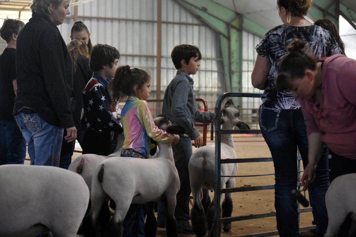 Rafael Gonzalez, left, Jaliane Gonzalez, center and Kiptyn Cook, right, prepare to enter the ring to compete in the Novice Showmanship class at the Moffat County Jackpot Show, hosted by the Elkhead Wranglers 4H Club on Saturday. 