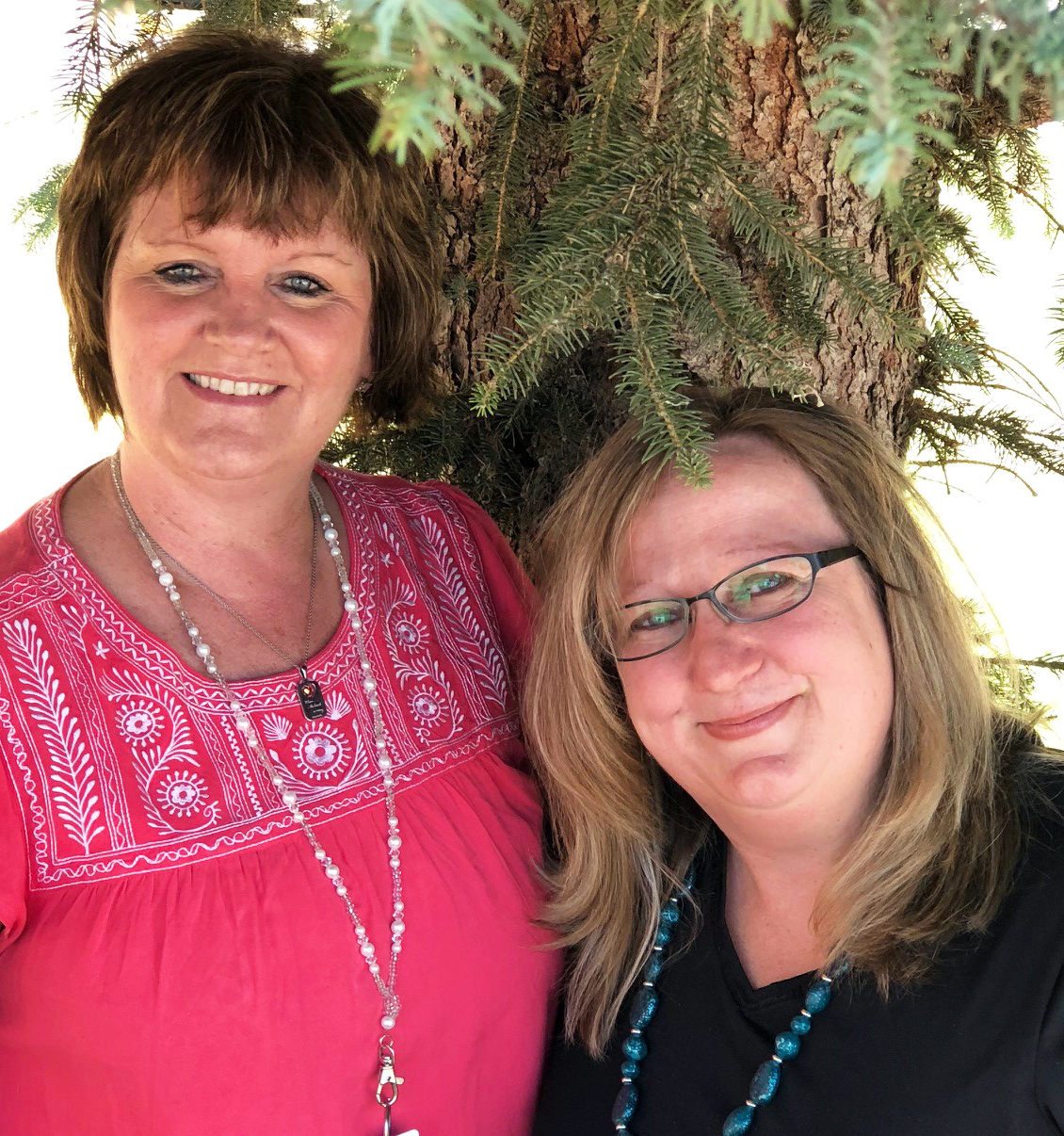 Northwest Colorado Health SafeCare helps parents fill their toolbox