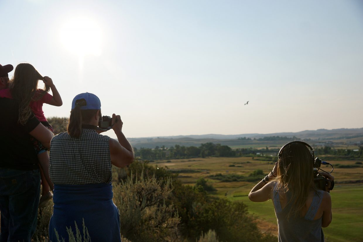 Witness watch as two Eagles — released back into the wild — fly into the sunset. 