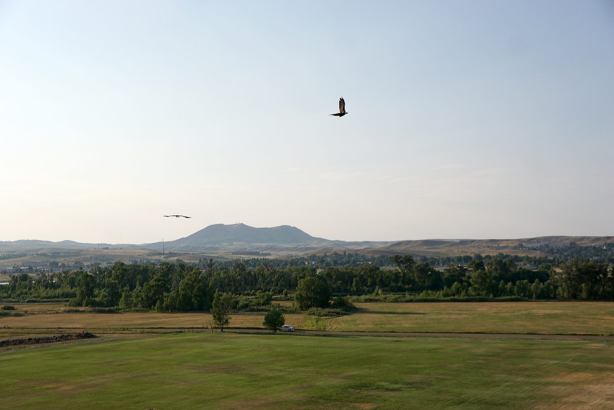 A recently released Bald Eagle circles above Loudy-Simpson park as an Osprey harries  it from below.