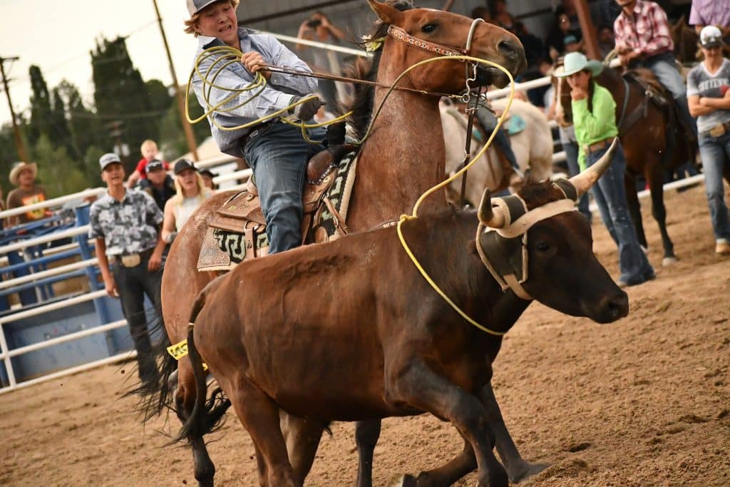 Moffat County rodeo program anticipating wide range of talent, ages ...