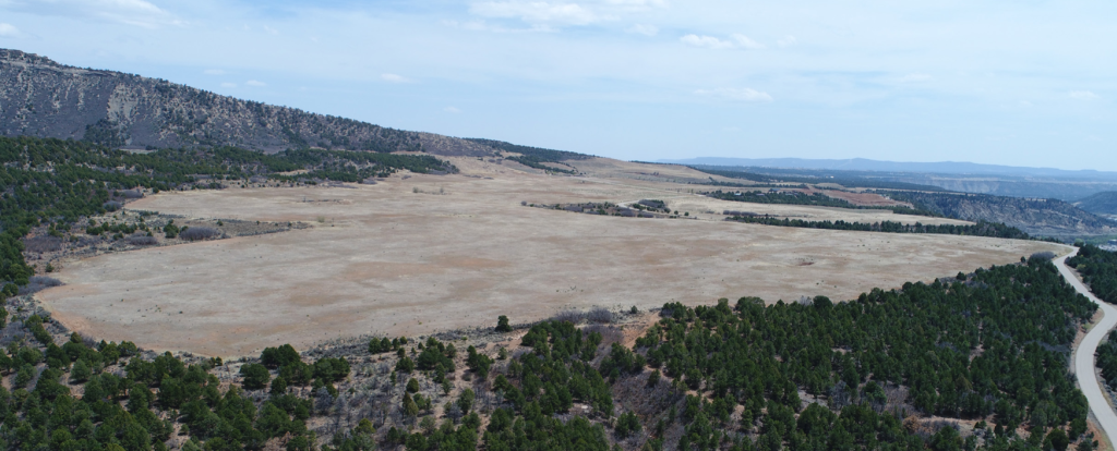 Writers on the Range: Building a huge park is anything but easy - Vimarsana News