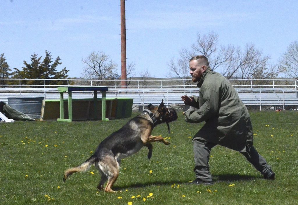 Craig Police dogs have their day at K9 challenge - Vimarsana News