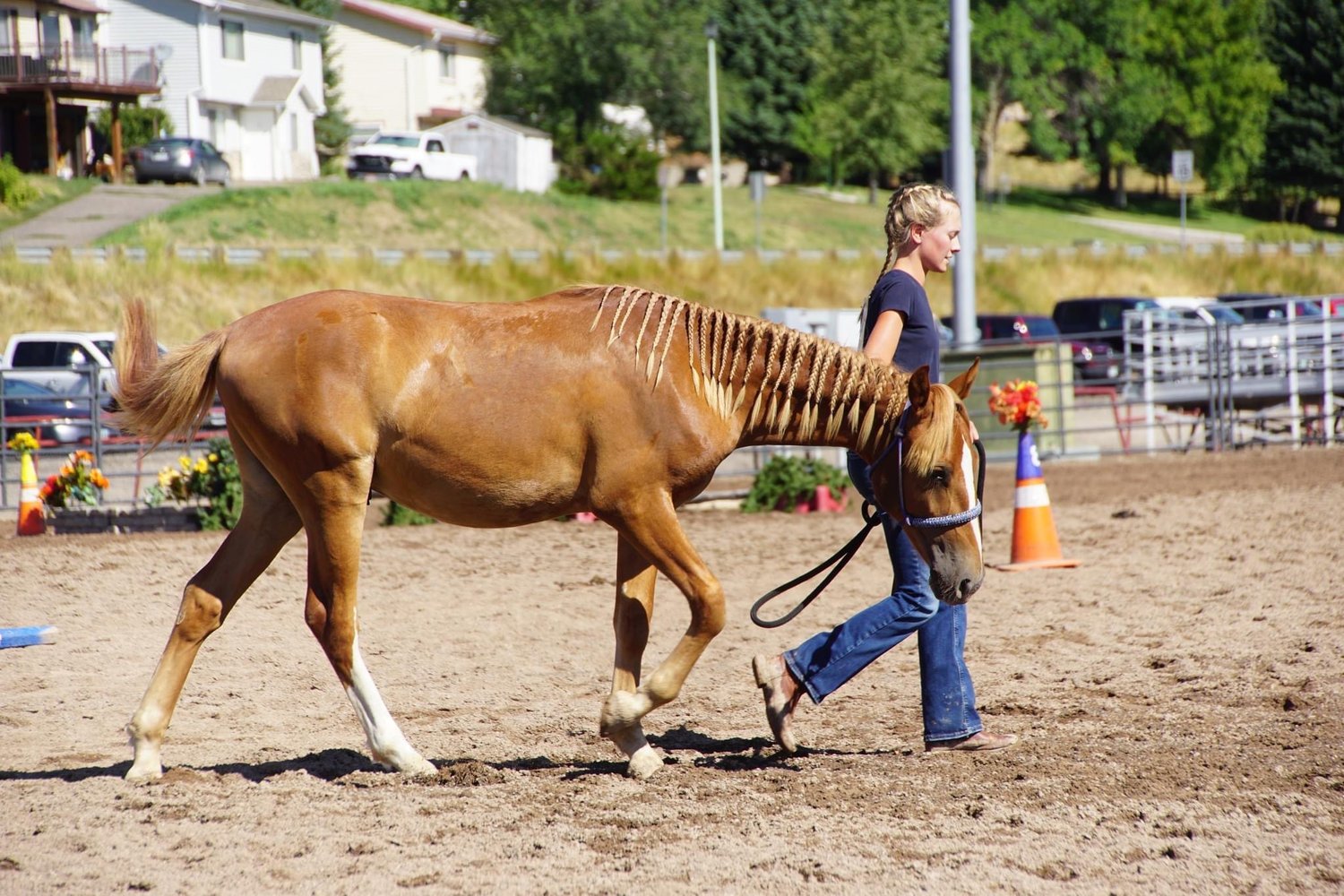 Meeker Mustang Makeover to show off trainers’ horse sense