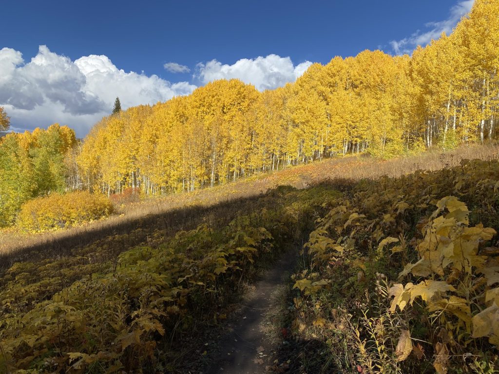A perfect palette  Yampa Valley offers ideal opportunities to enjoy the  colors of fall | CraigDailyPress.com