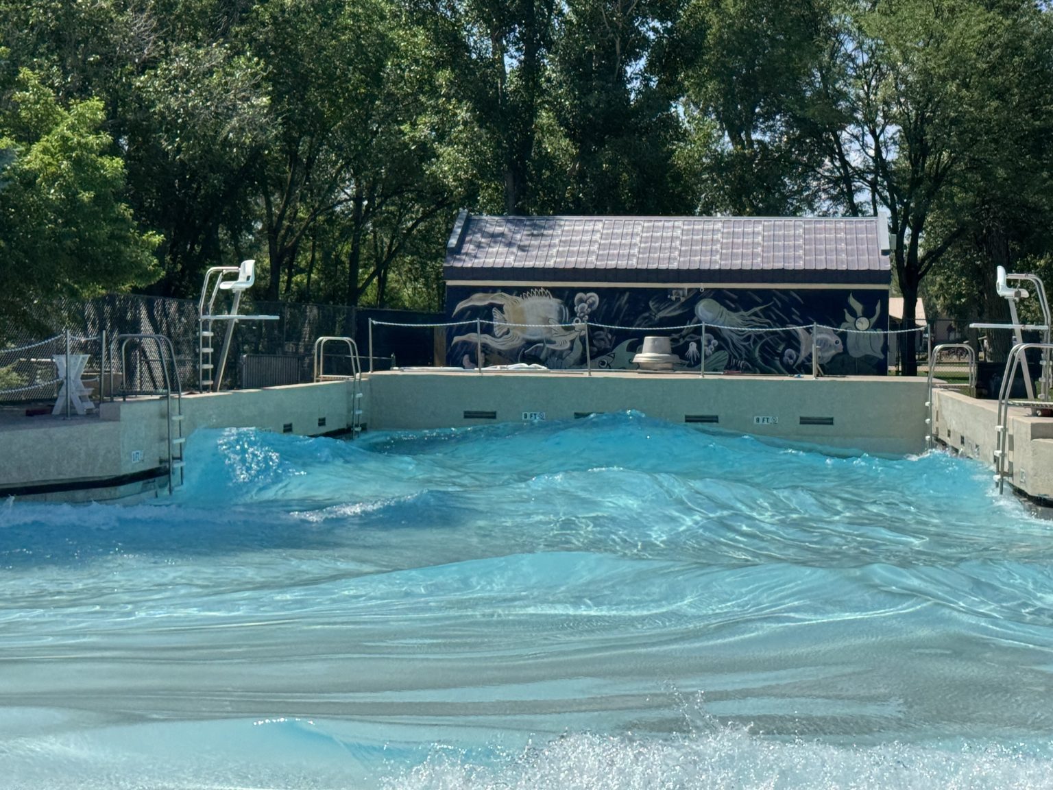 ‘Fitness, recovery, fun and connection’: Craig Swimming Complex marks ...