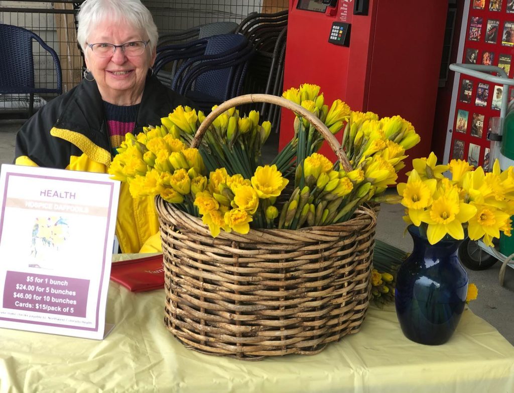 Health Column: 35 years of daffodils — a Yampa Valley tradition blooms on