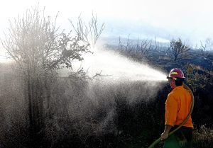 How to prepare for each stage of ‘Ready. Set. Go!’ wildfire evacuation protocols