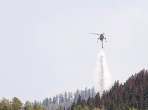 Routt County Sheriff identifies preliminary cause for Green Ridge Fire