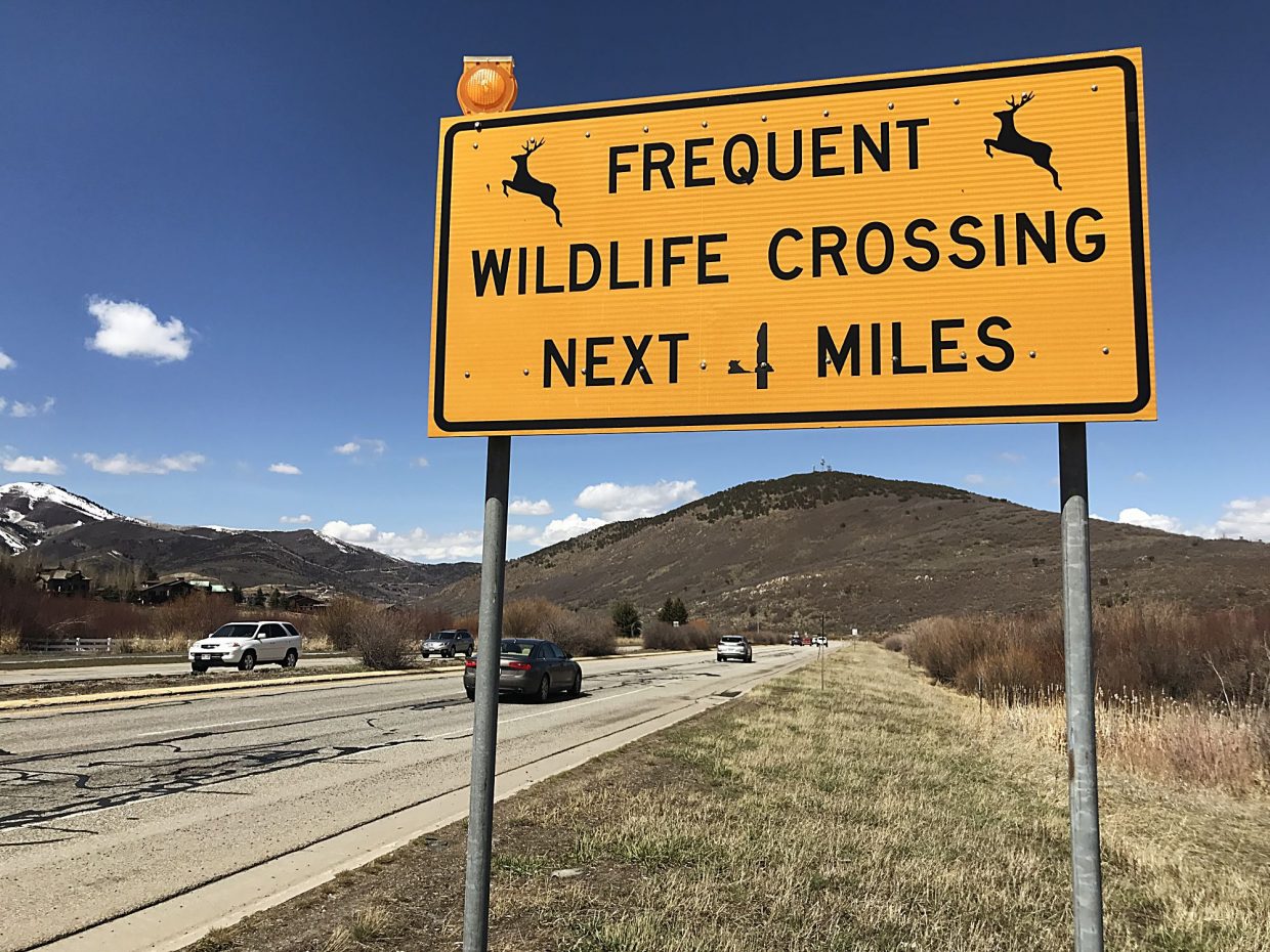 Summit County wildlife advocates call for increased education - Vimarsana News