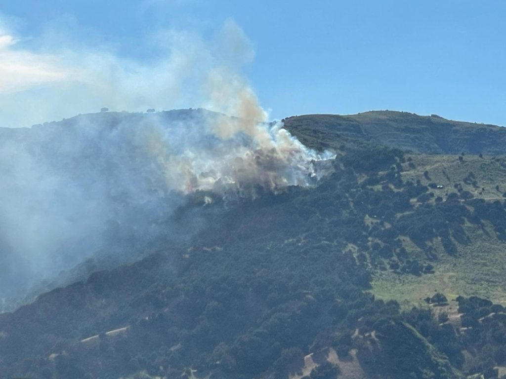 Summit County fire danger reduced to low - Vimarsana News