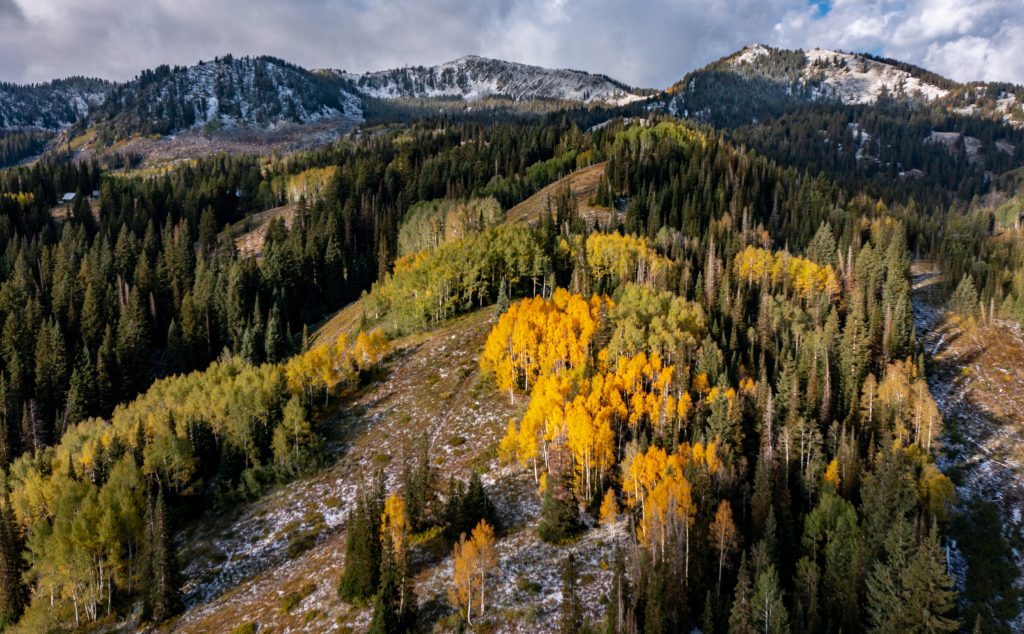 First snowfall in area decorates Clayton Peak - Vimarsana News