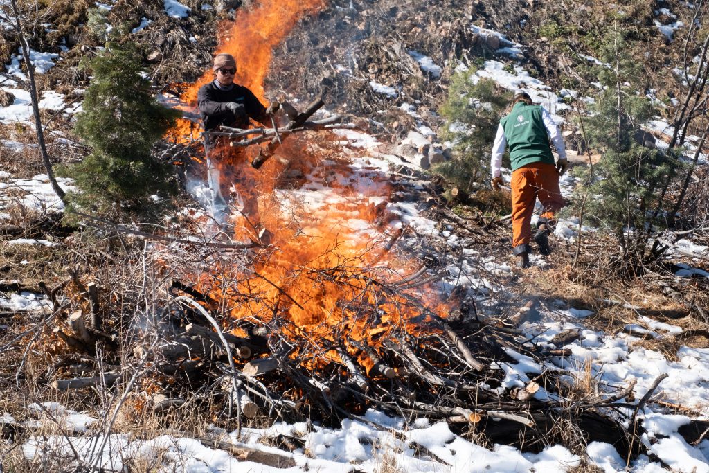 Resorts take measures now to save area from wildfire later - Vimarsana News