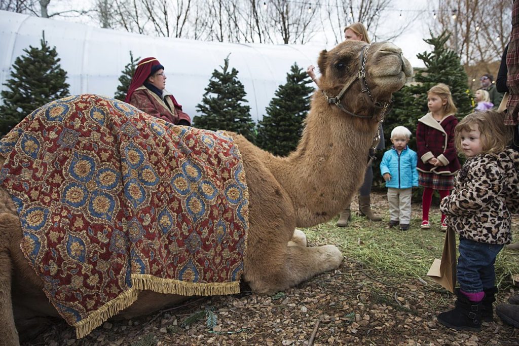 Park City Gardens ushers in the season with a live manger