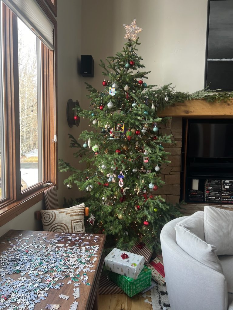 Local teens share favorite holiday traditions - Vimarsana News