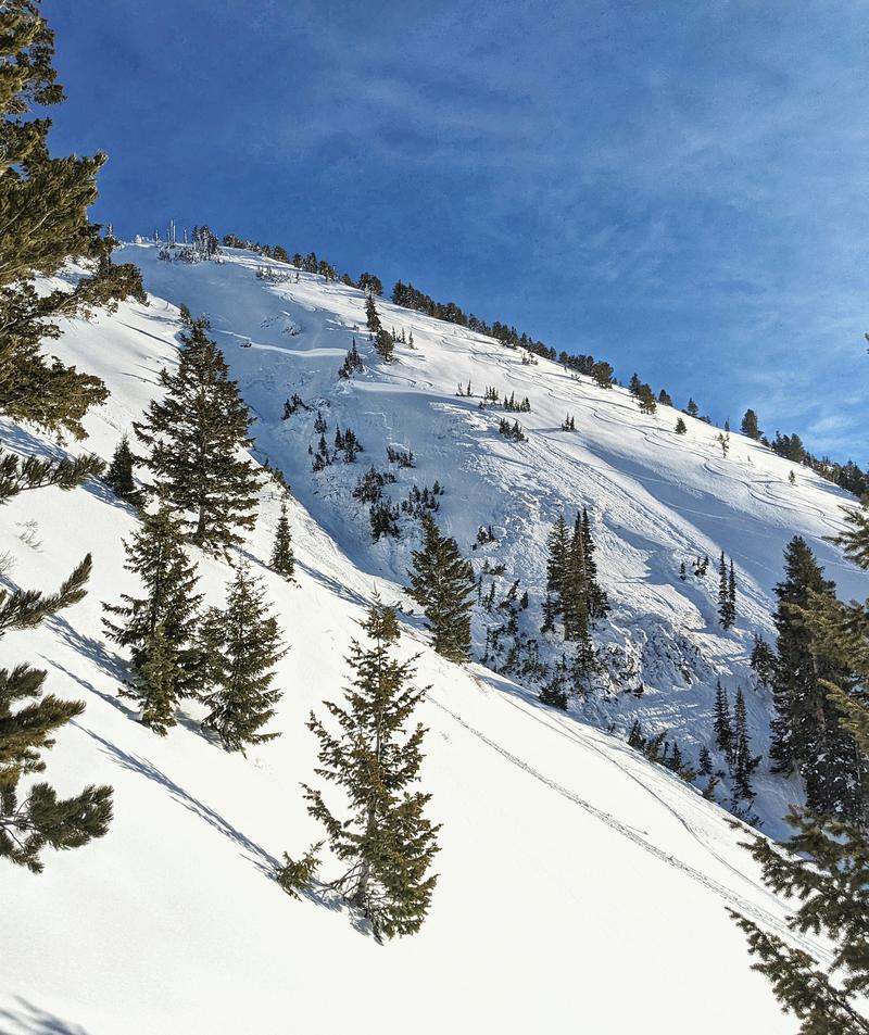 Lucky ride for skier caught in avalanche Sunday - Vimarsana News