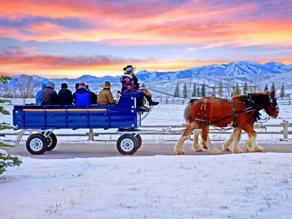 High Star Ranch celebrates Valentine’s like a Hallmark movie with Clydesdale wagon rides