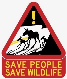 Save People Save Wildlife lobby Park City Council for support of wildlife bridge over S.R. 224 - Vimarsana News