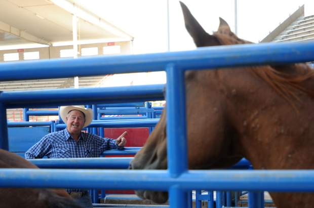 Rodeo animals at Stampede cared for by team of long-time rodeo stock ...