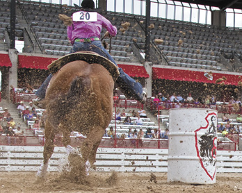 Barrel racing in the blink of an eye | TheFencePost.com