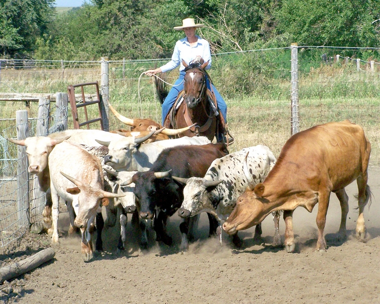 Ranch rodeos prove to be a great event for county fairs | TheFencePost.com