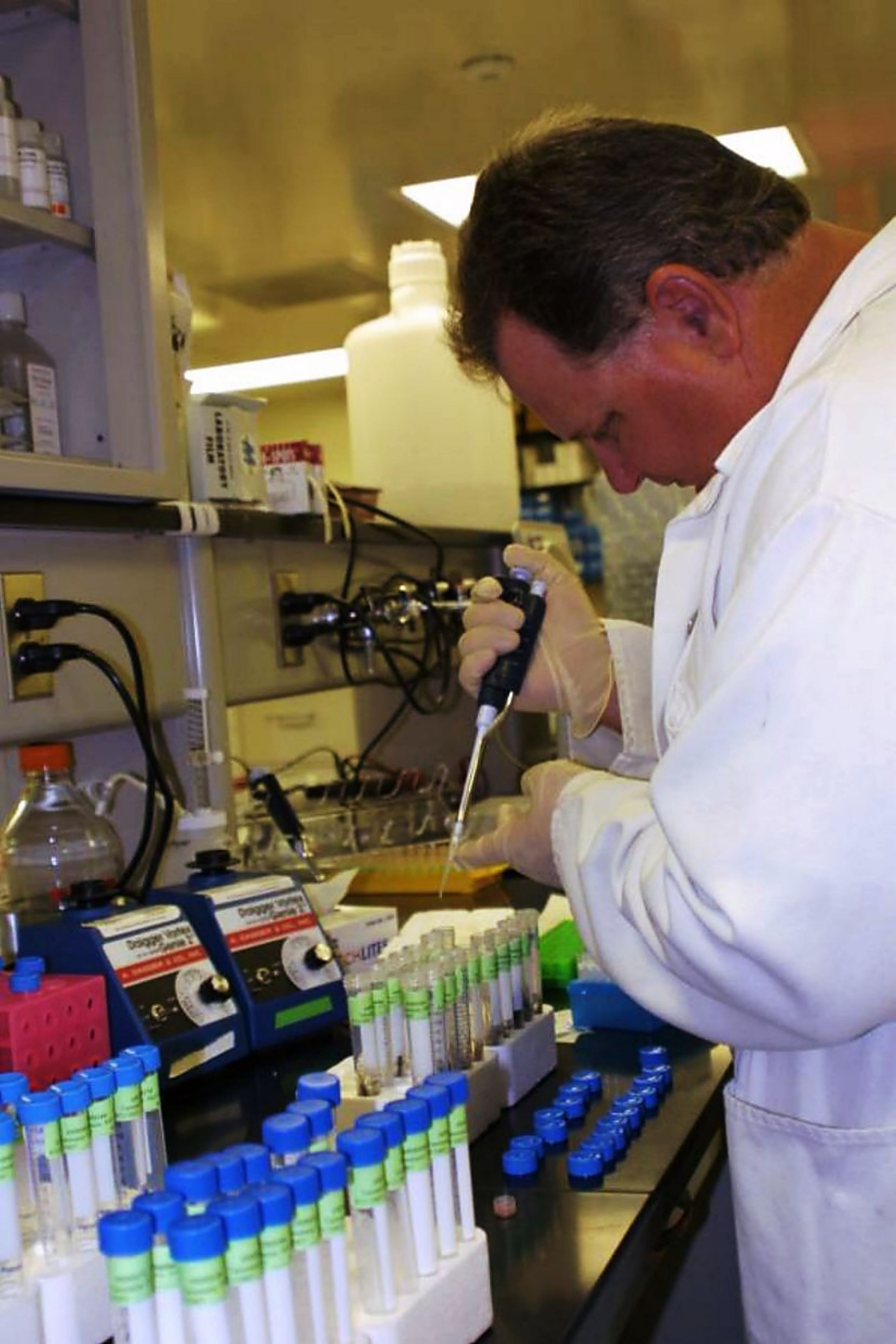 Bovine DNA sequencing offers insight for researchers, beef producers ...