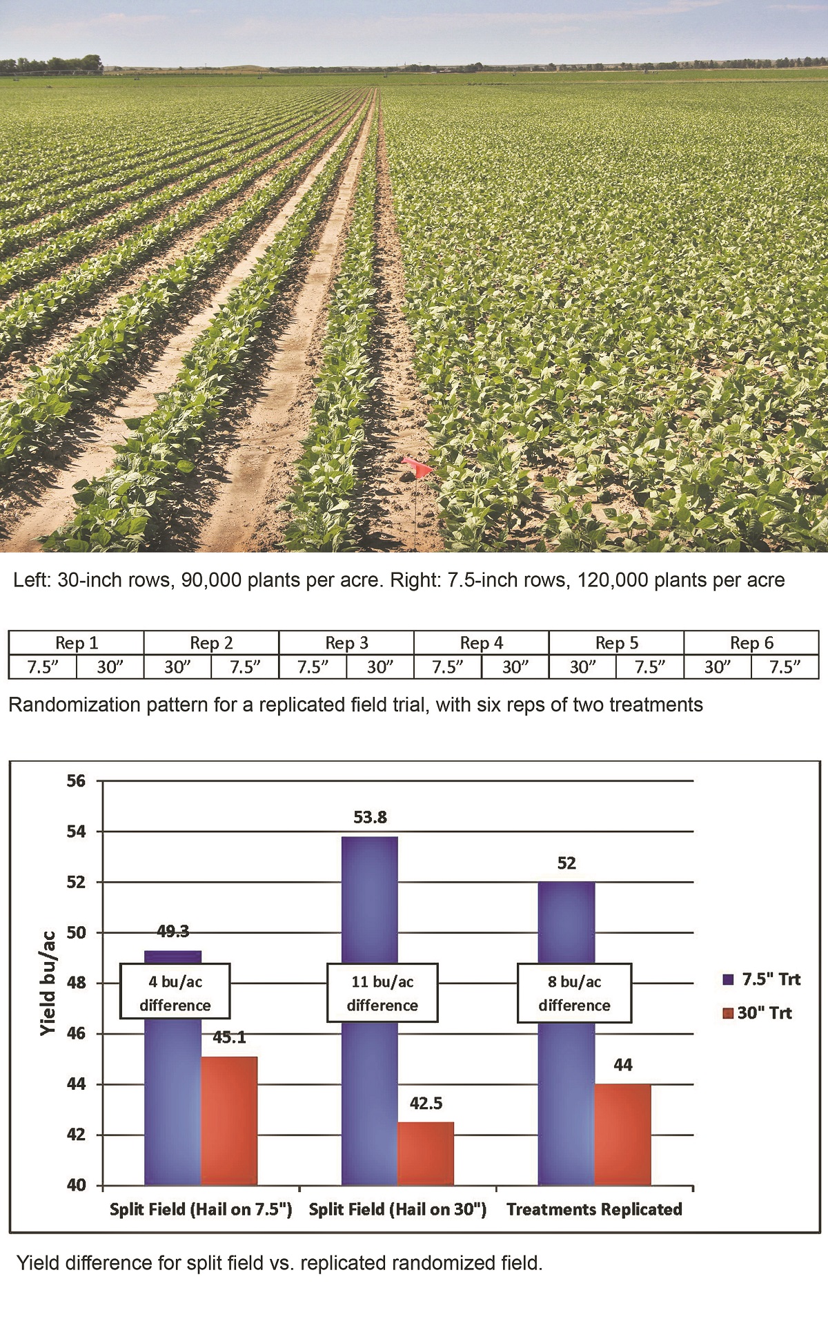 Field Studies: Replicated comparisons vs. side-by-side comparisons ...