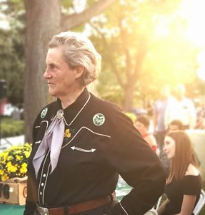 Colorado State celebrates Temple Grandin’s 70th birthday | TheFencePost.com
