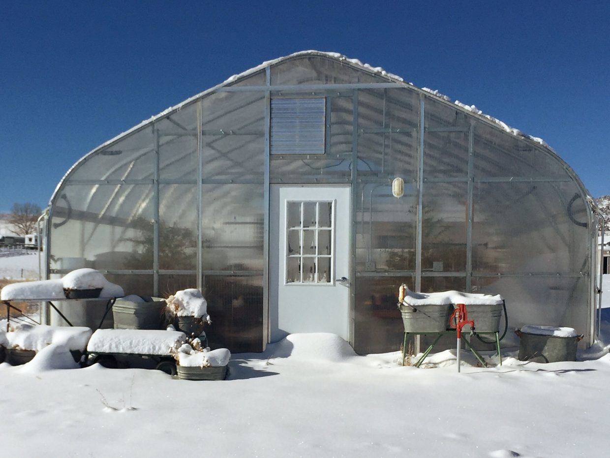 The Perry's greenhouse, which they built in 2015, allows Trudy Perry to blissfully âplay in the dirtâ year-round. Photo compliments of Heritage Lavender