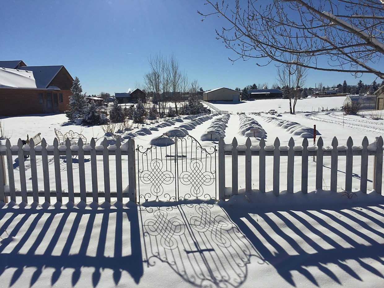 Heritage Lavender's beds, tucked under a blanket of snow, sleep in the winter. They'll produce again in spring as lavender plants can enjoy a 20-year lifespan.