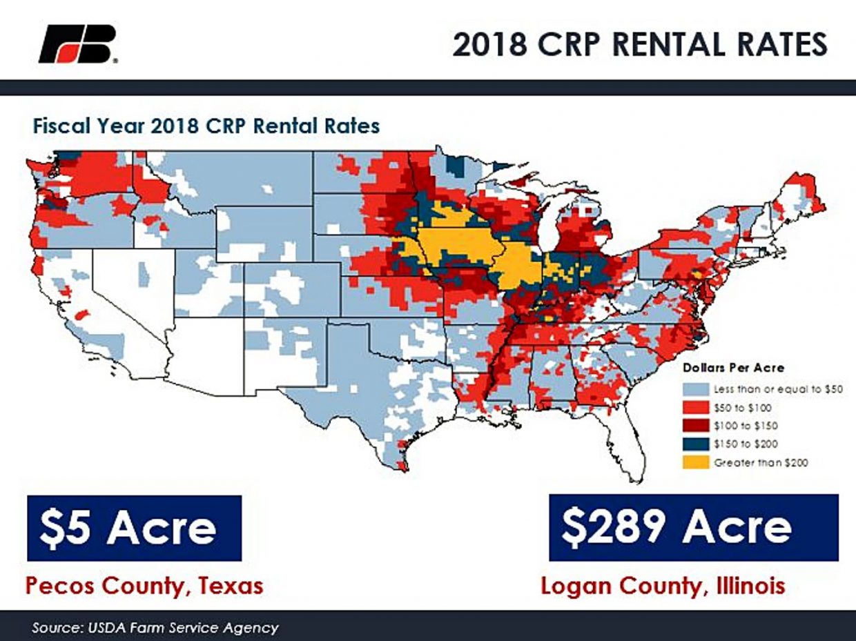 Reviewing 2019 CRP rental rates | TheFencePost.com