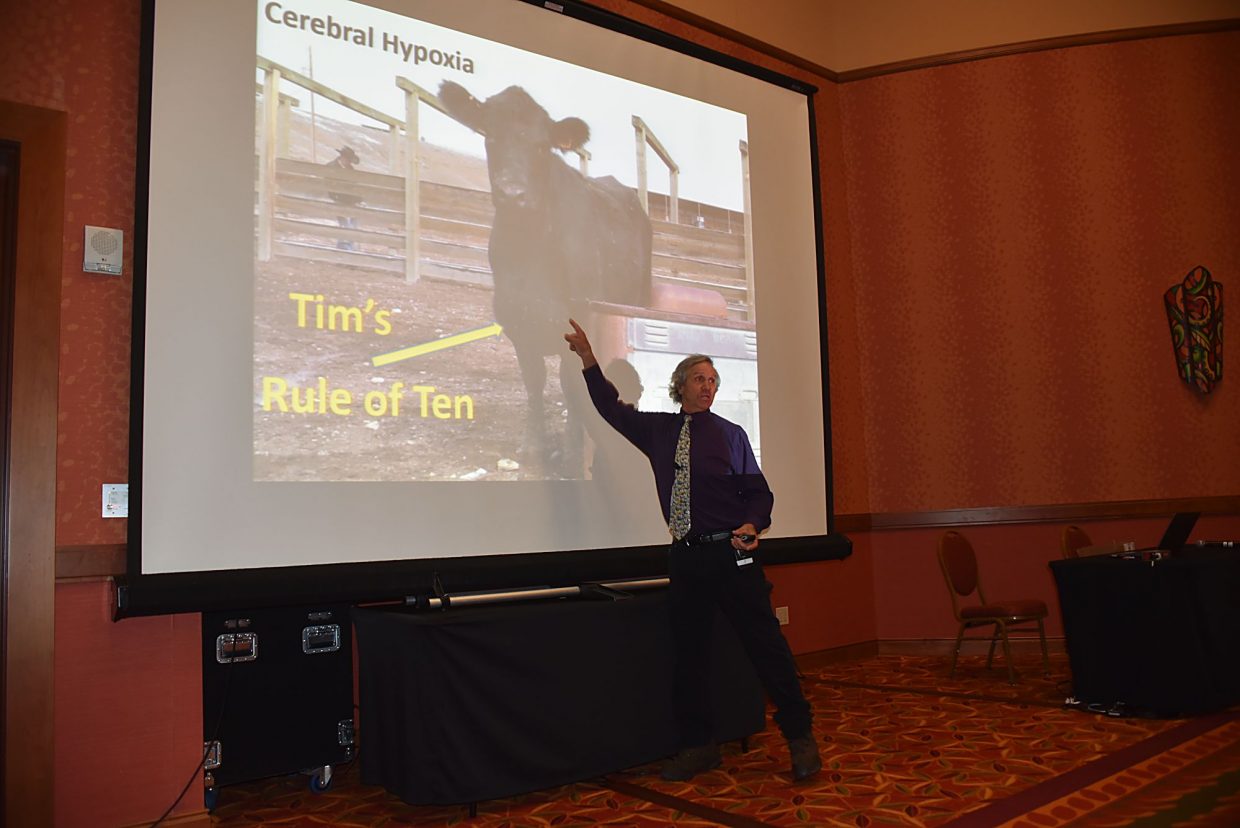 The value of recognizing brisket disease