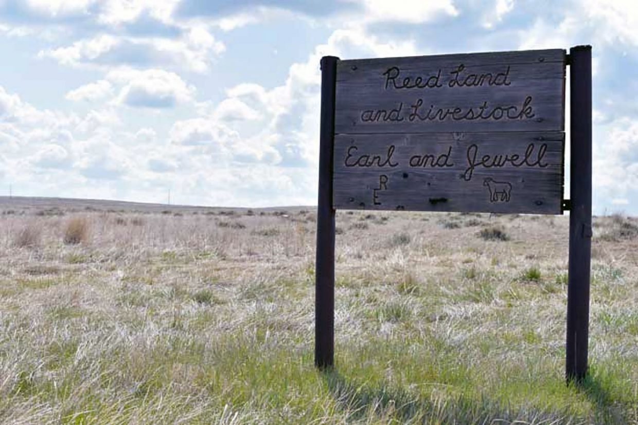 Wyoming’s Reed family has built a lifelong connection to the land ...