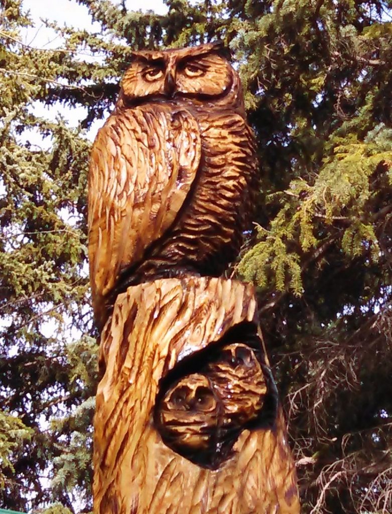 丸太　スギ　フクロウ　Chainsaw Carving Hewing his niche in the chainsaw art world | TheFencePost.com