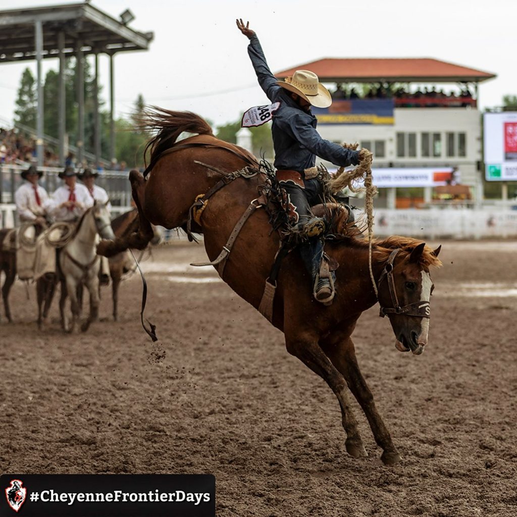 New app lets visitors be part of rodeo rides at the 2019 Cheyenne ...