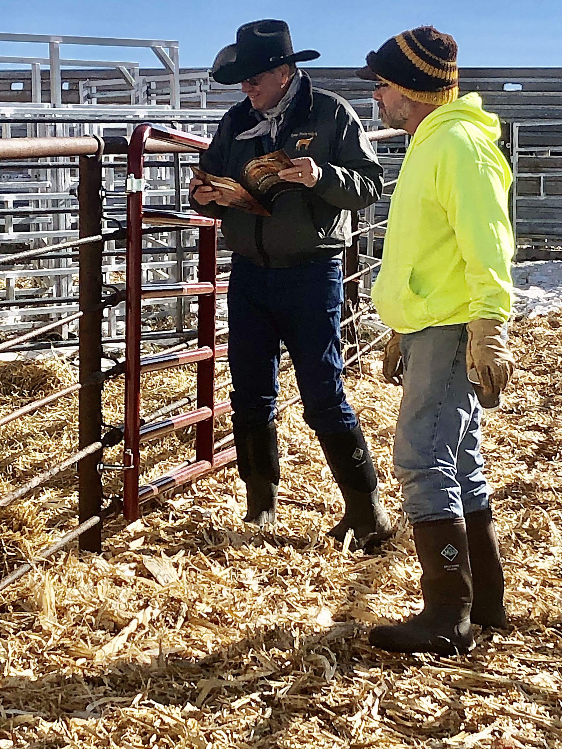ZumBrunnen Angus Female Sale