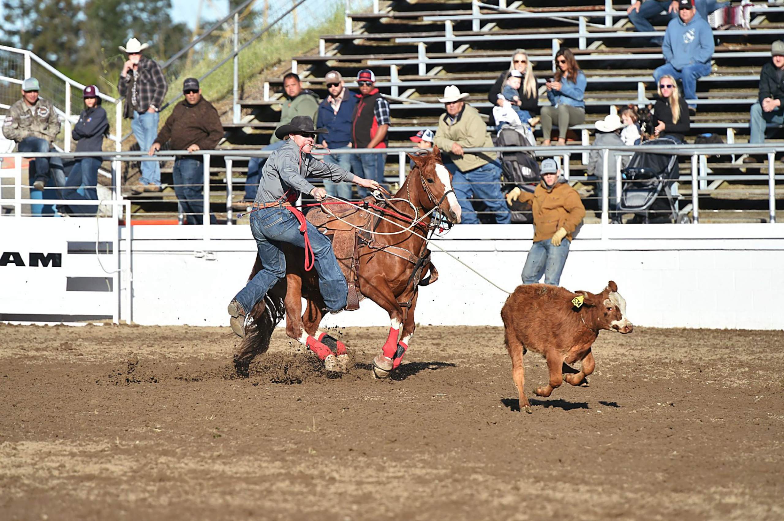 Neb Pro Rodeo Three Nebraska cowboys among those qualified to compete at pro rodeo’s ...