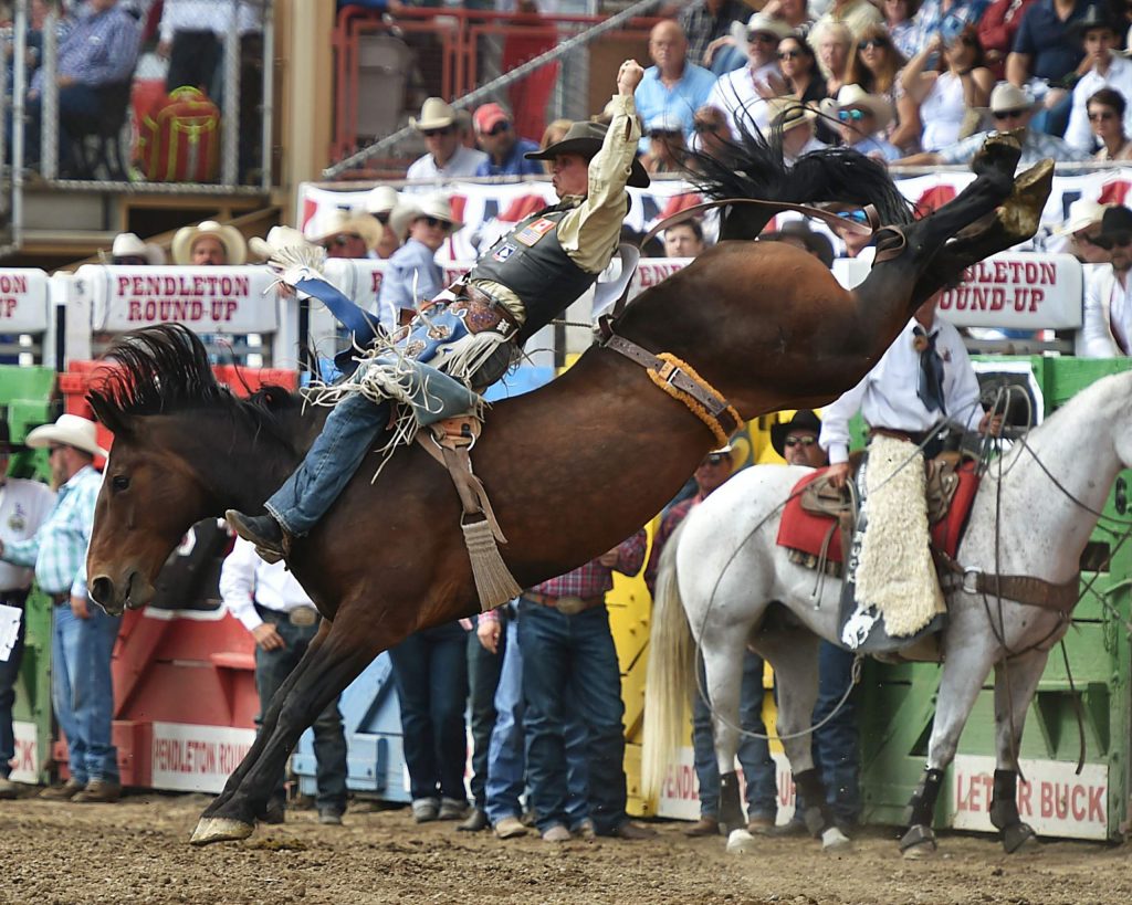 Neb Pro Rodeo Three Nebraska cowboys among those qualified to compete at pro rodeo’s ...