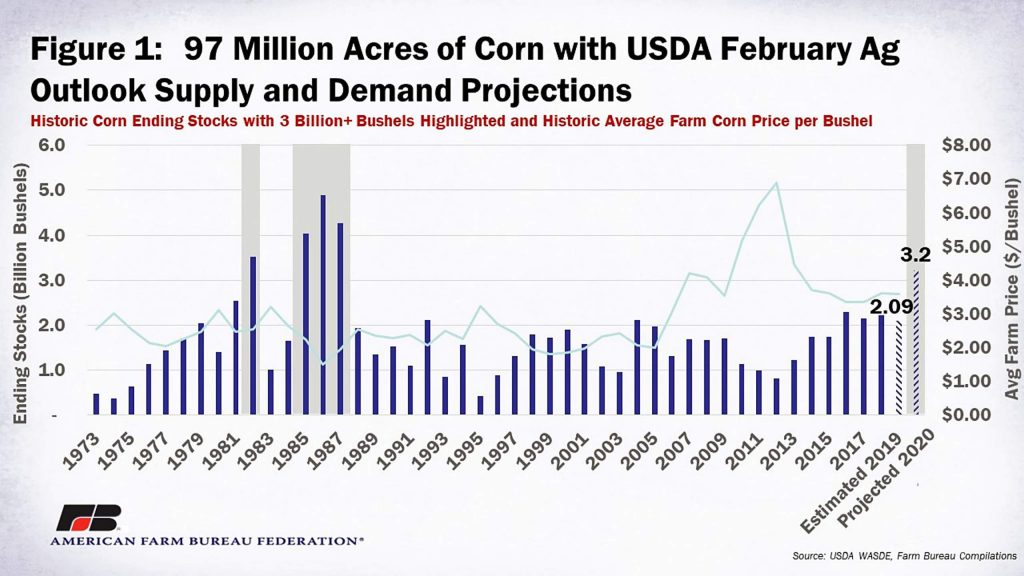 Corn acres should be reconsidered in 2020 | TheFencePost.com