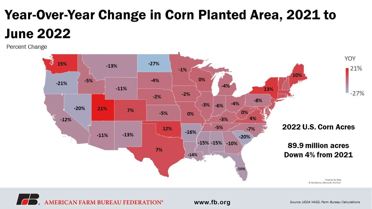 June acreage report puts corn back on top | TheFencePost.com