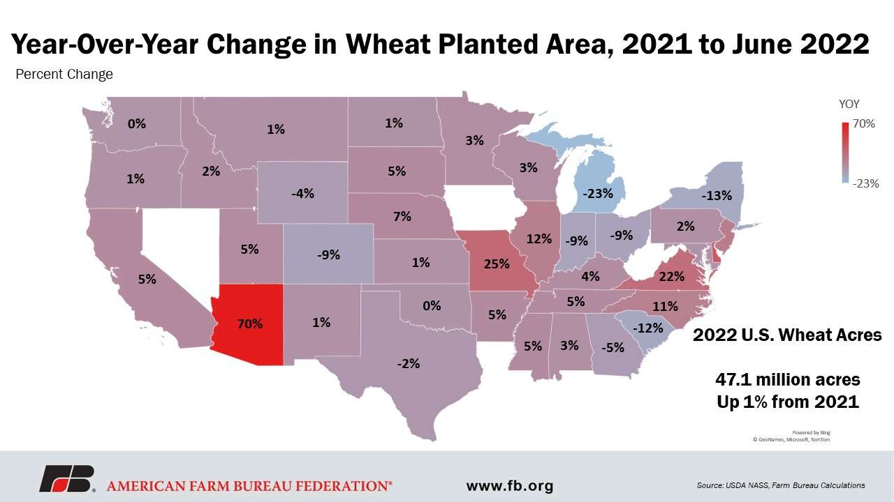 June acreage report puts corn back on top | TheFencePost.com