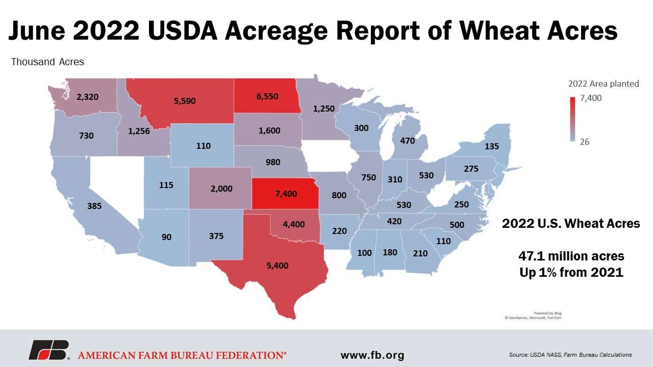 June acreage report puts corn back on top | TheFencePost.com