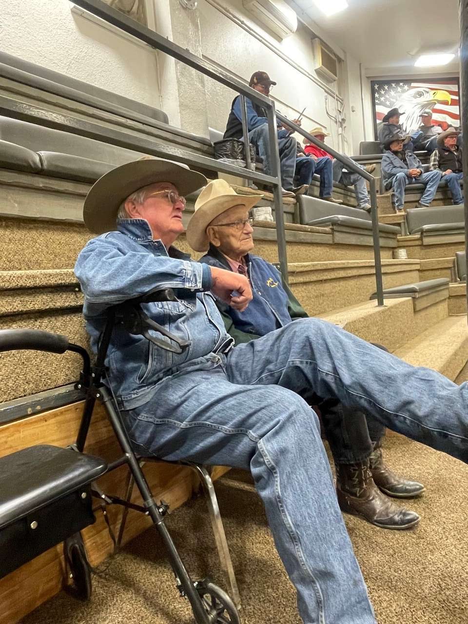 Commissioner tours Sterling Livestock, Sil steals the show