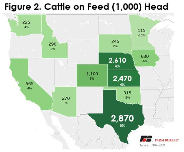 March Cattle on Feed Report shows inventory up, decline in placements ...