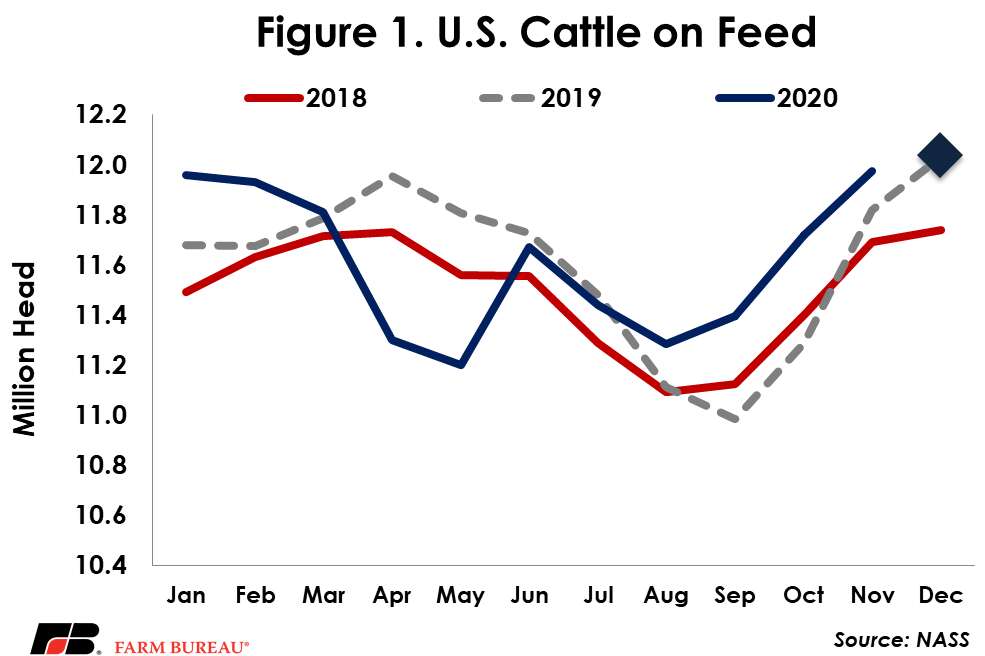 December Cattle on Feed Report shows decline in placements and ...