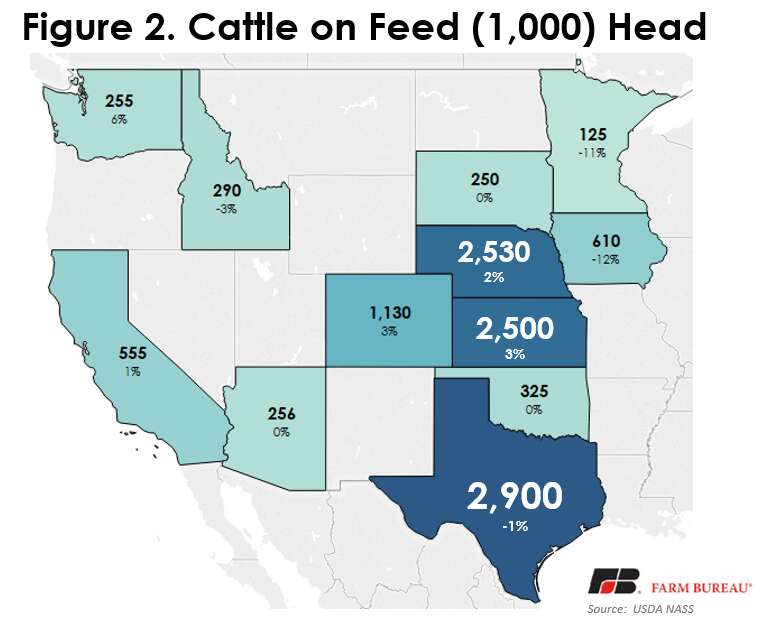 December Cattle on Feed Report shows decline in placements and ...