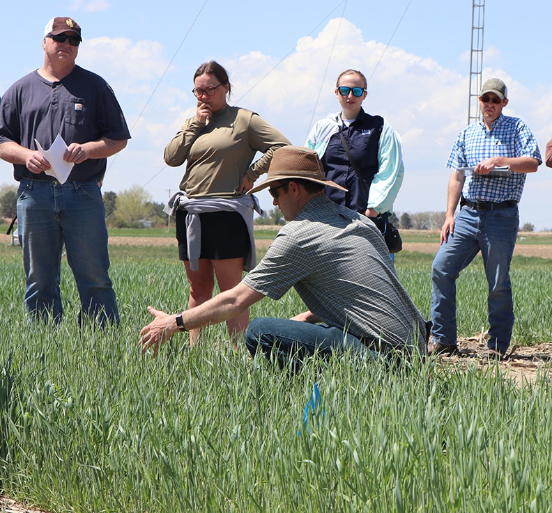 Cover Crop Initiative Project has first field day in western Nebraska ...